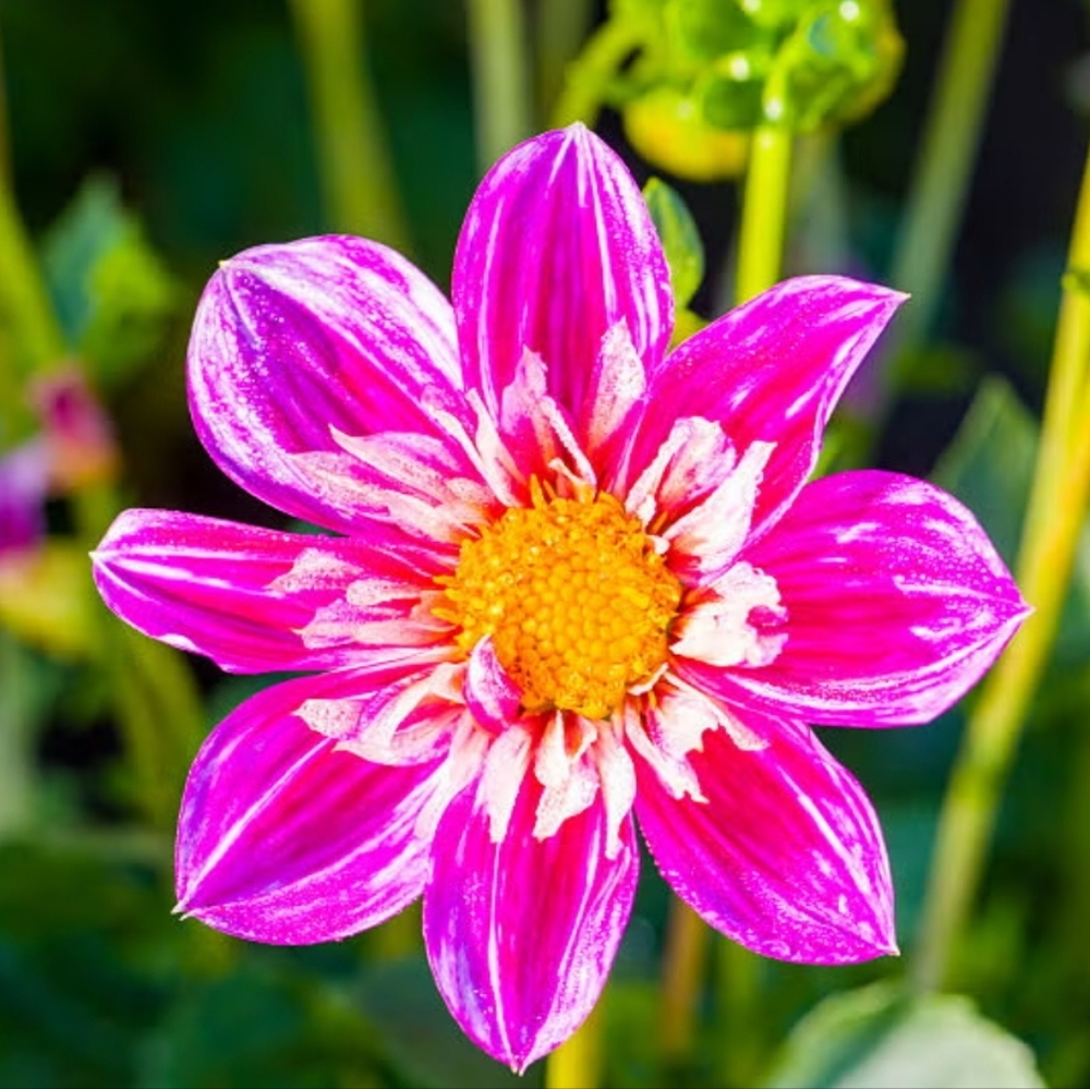 Meet your Posher, Katlyn